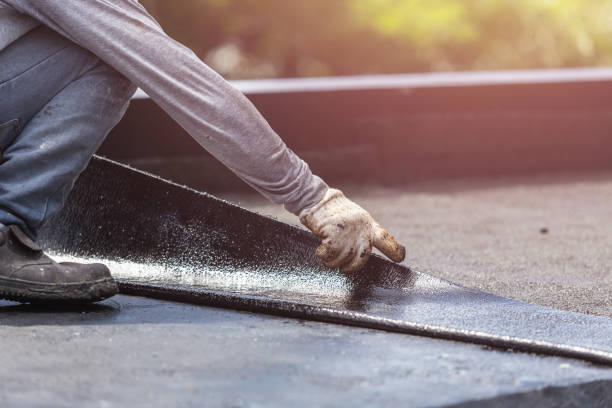 Professional Interior Drainage System technician working in Lakeland, MI